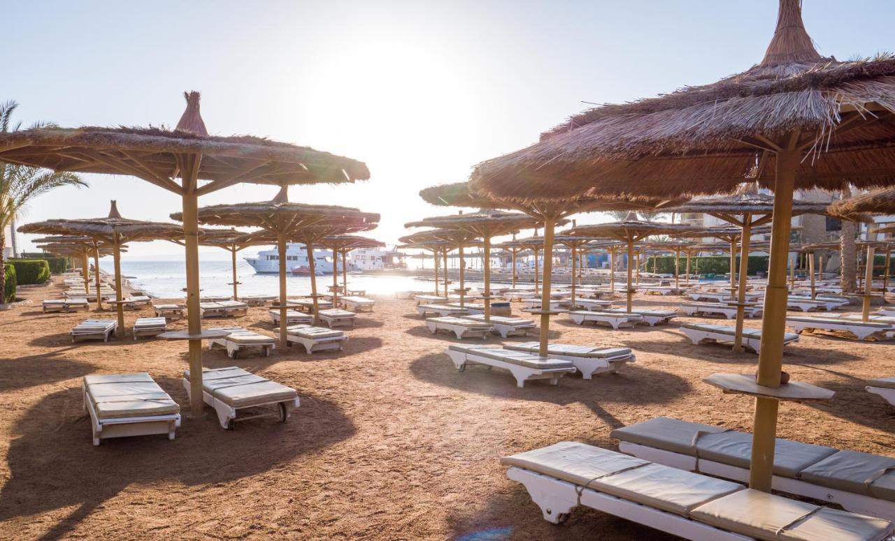 Seagull Beach Resort - Families And Couples Only Hurgada Dış mekan fotoğraf